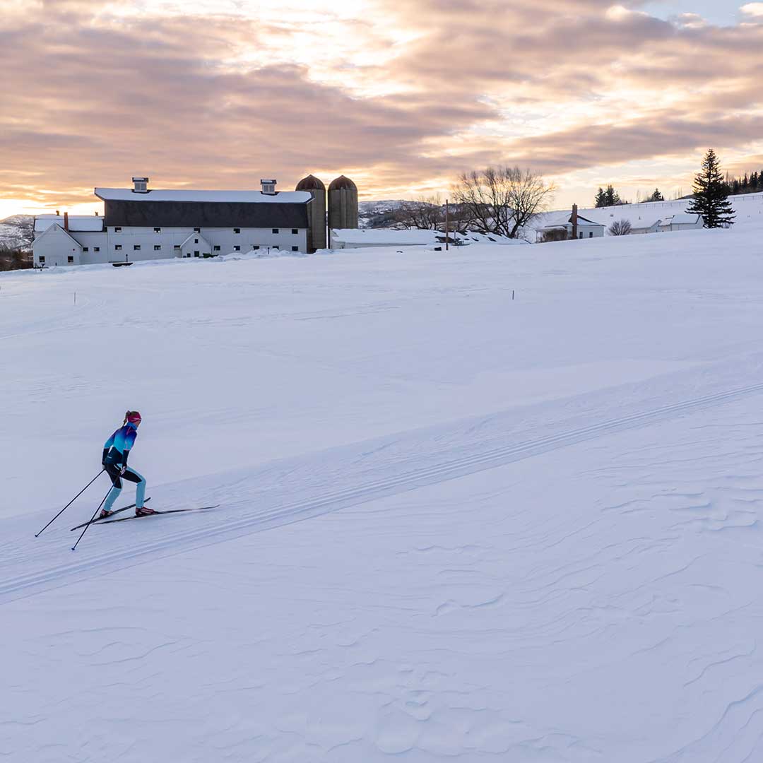 Person cross-country skiing on a snow-covered field with a barn and trees in the background during sunset.