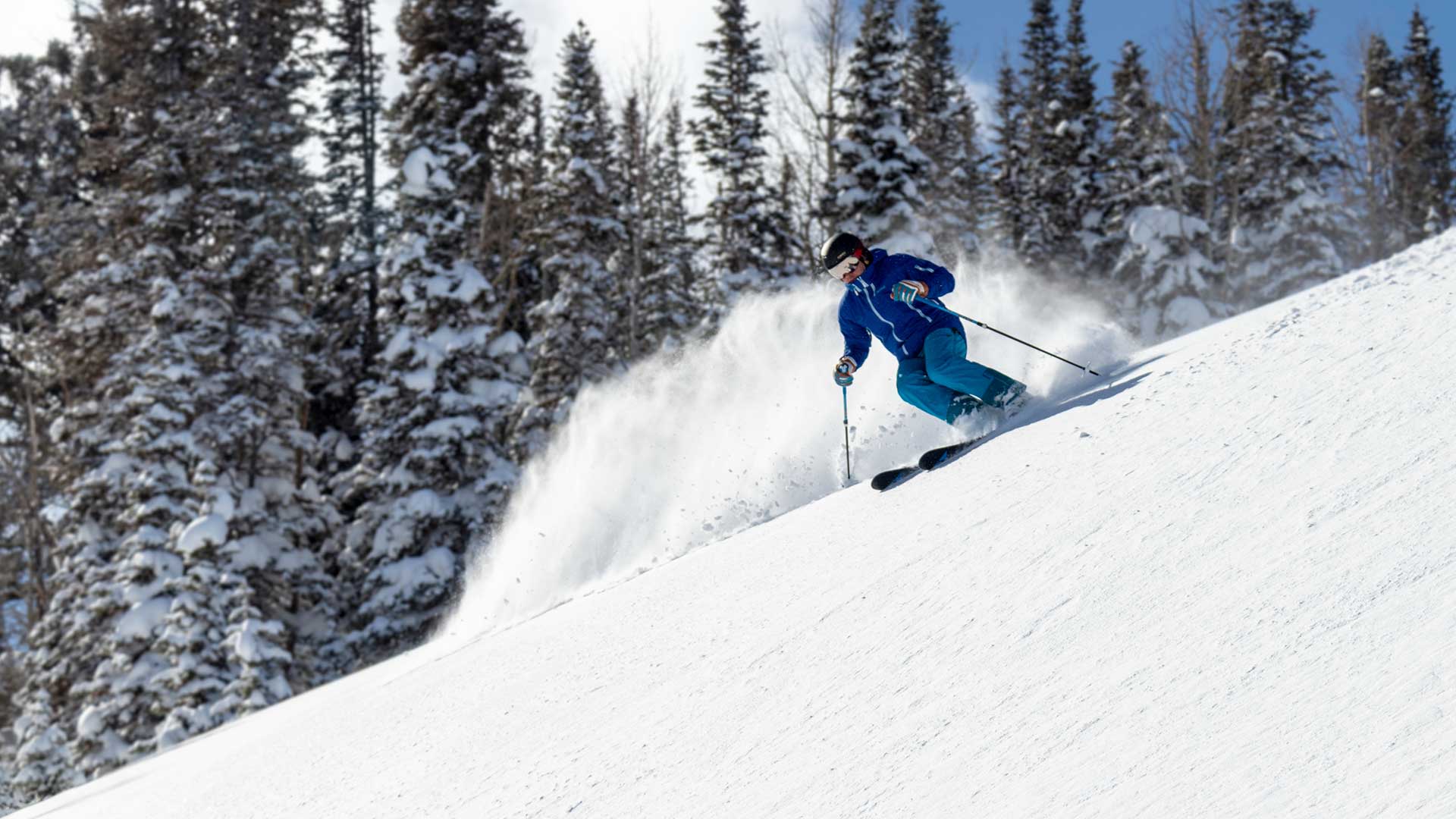Jans Expert skiing in a blue outfit carving through fresh powder on a snowy mountain slope, with snow-covered pine trees in the background at  Deer Valley Resort, Park City, Utah.