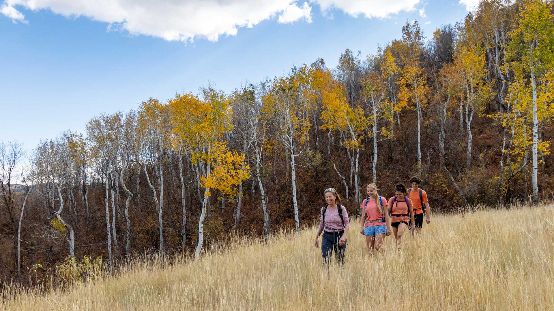 Jans experts hiking through a field on a guided tour with trees displaying autumn colors near Park City, UT.