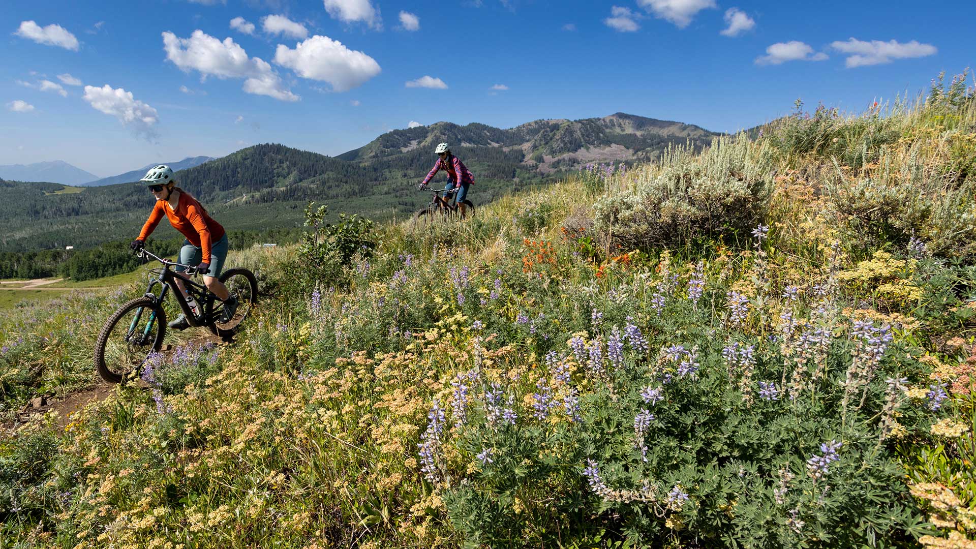 Two mountain bikers riding through a scenic landscape with mountains and wildflowers.