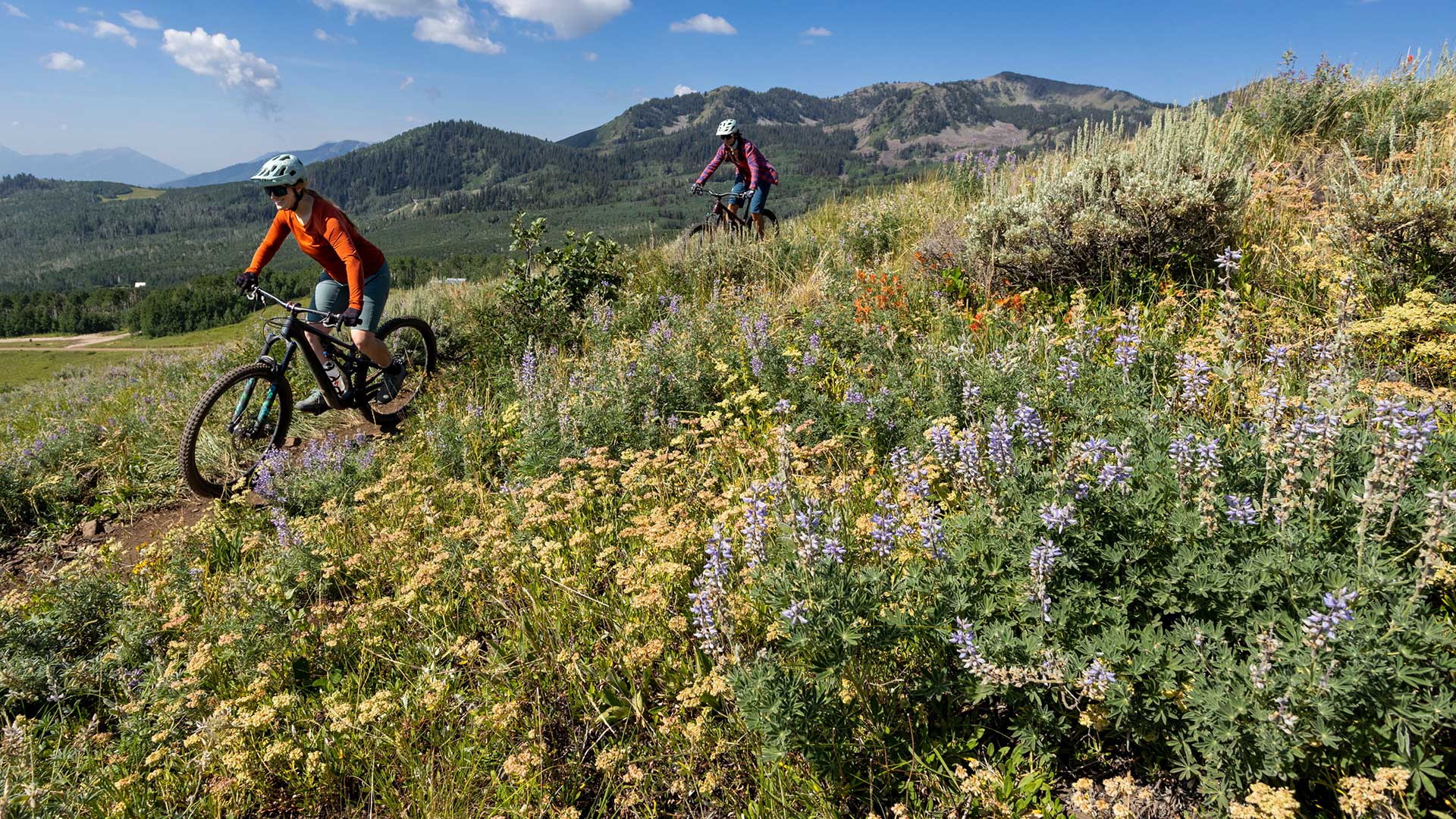 Two mountain bikers riding through a scenic landscape with mountains and wildflowers.