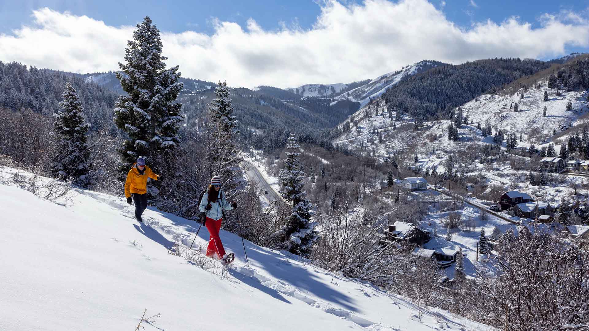 Two skiers on a snowy mountain slope with a scenic view of snow-covered trees and mountains.