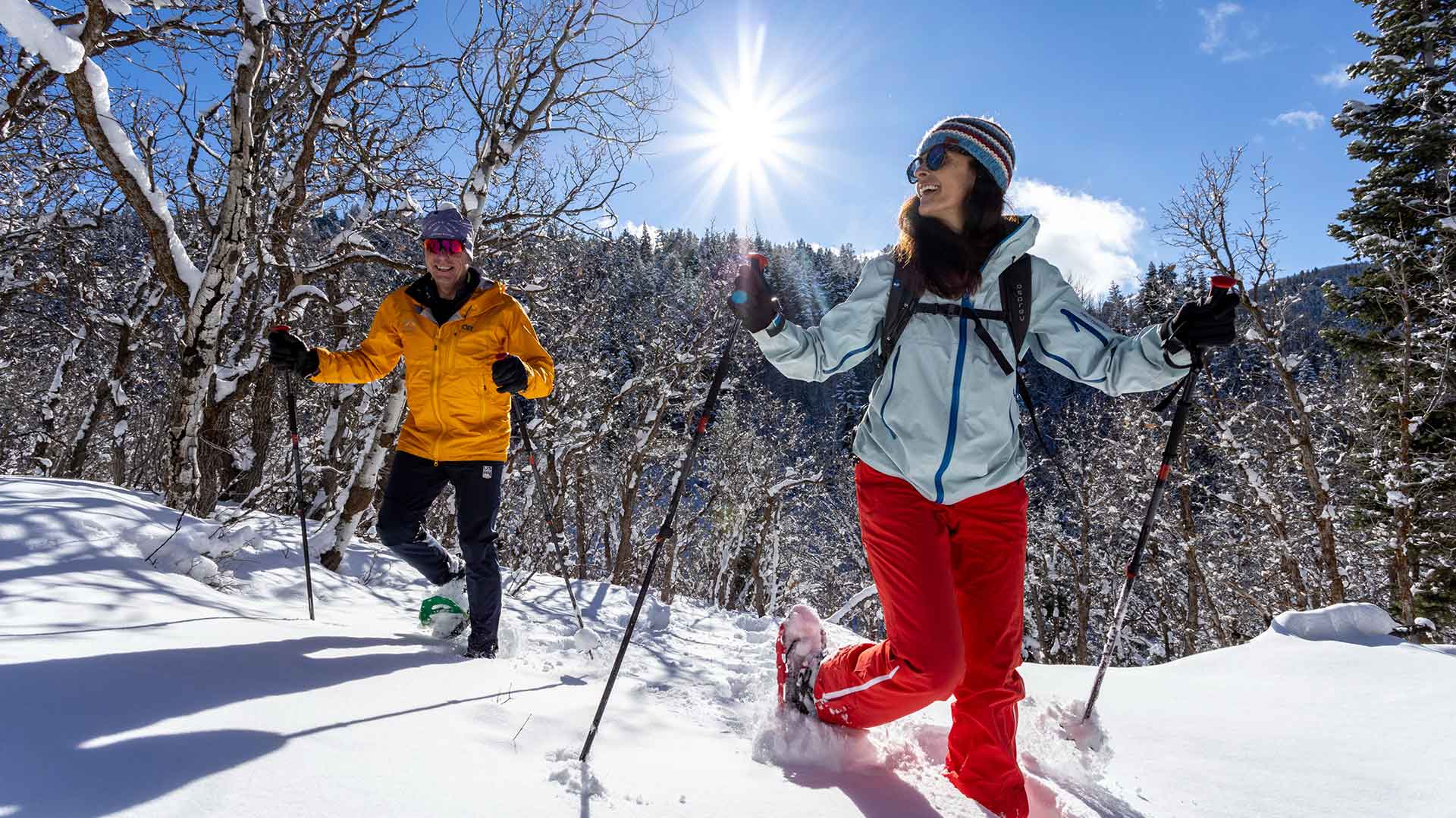 Two peoples snowshoeing in a snowy forest with a clear blue sky.