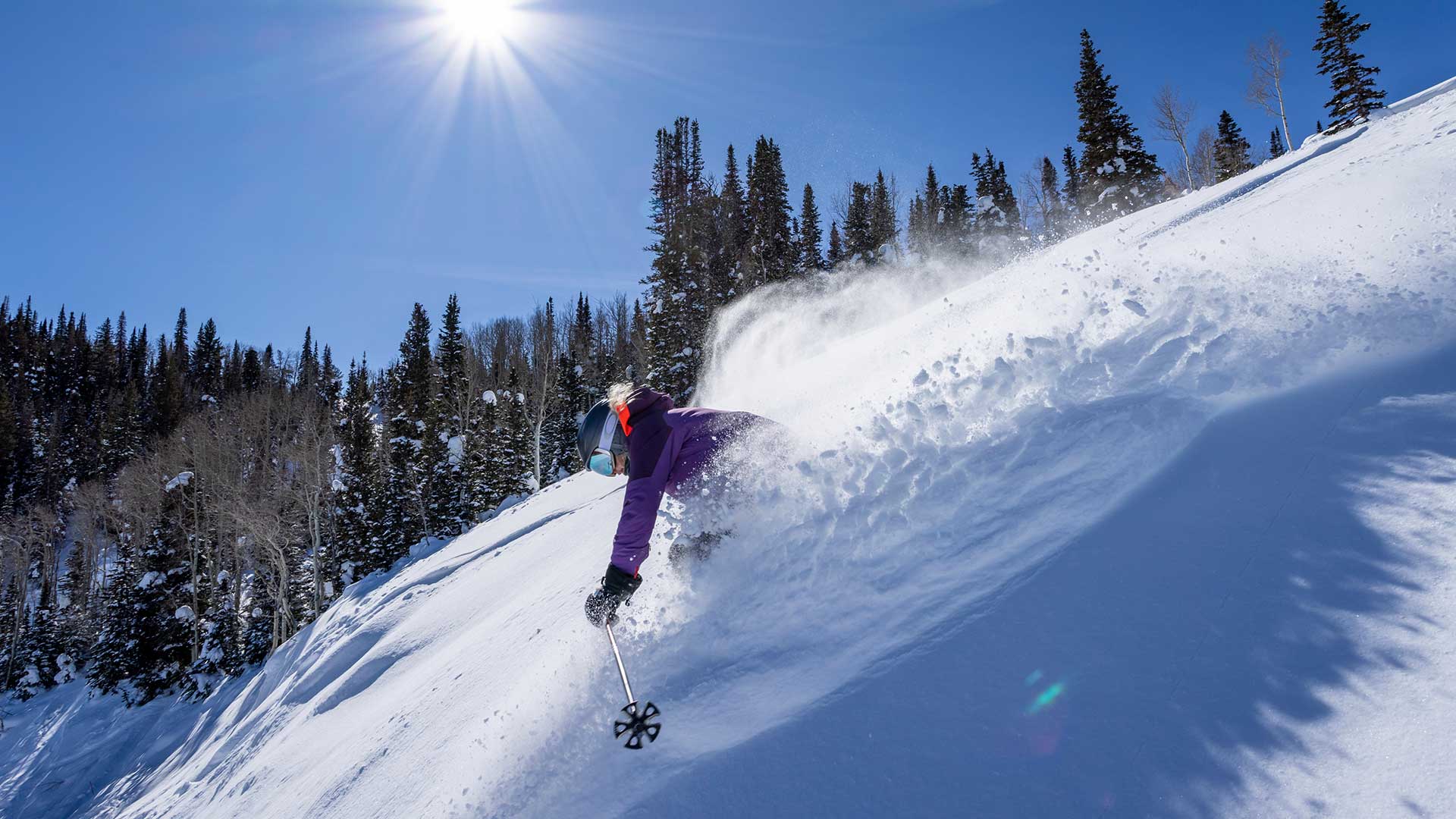 Person skiing down a snowy slope with trees and clear blue sky in the background