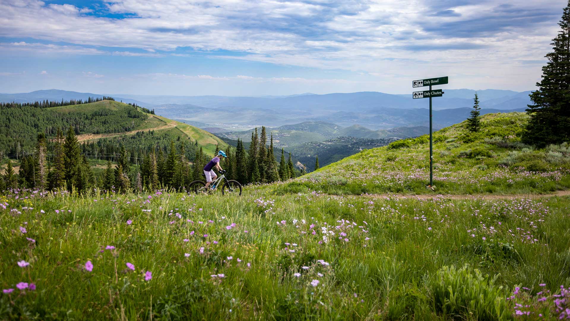 Jans Expert riding a mountain bike on a trail with pink wildflowers all around overlooking Park City, Utah.
