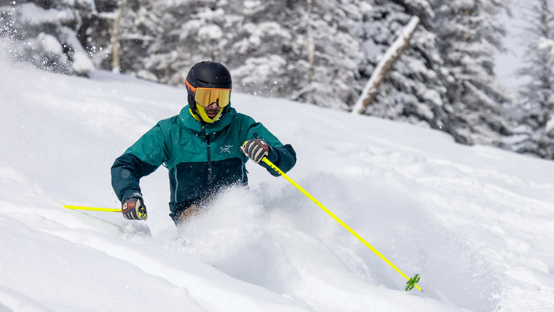Person skiing in a snowy forest with trees in the background