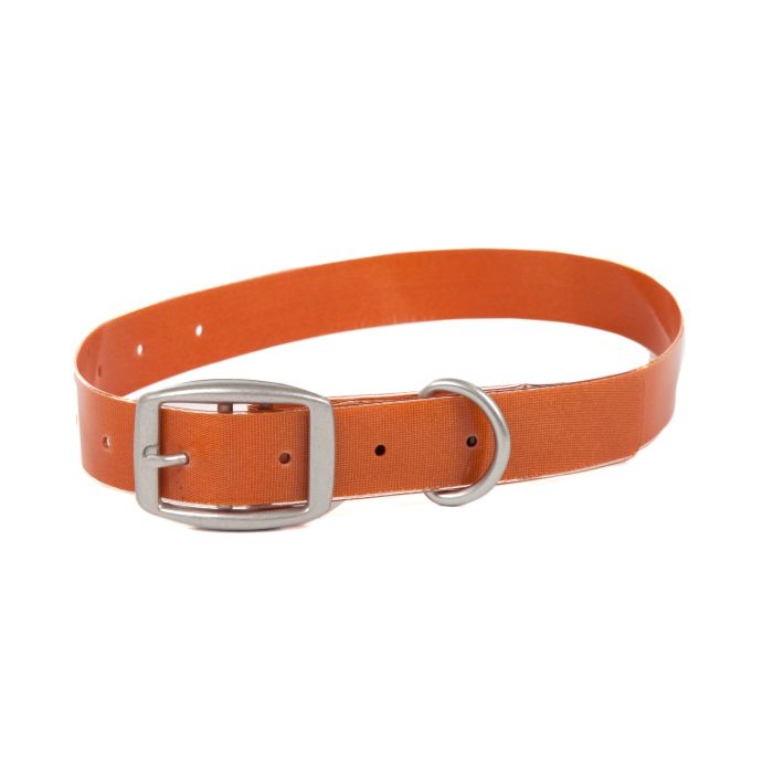 Fishpond Salty Dog Collar in Cutthroat Orange