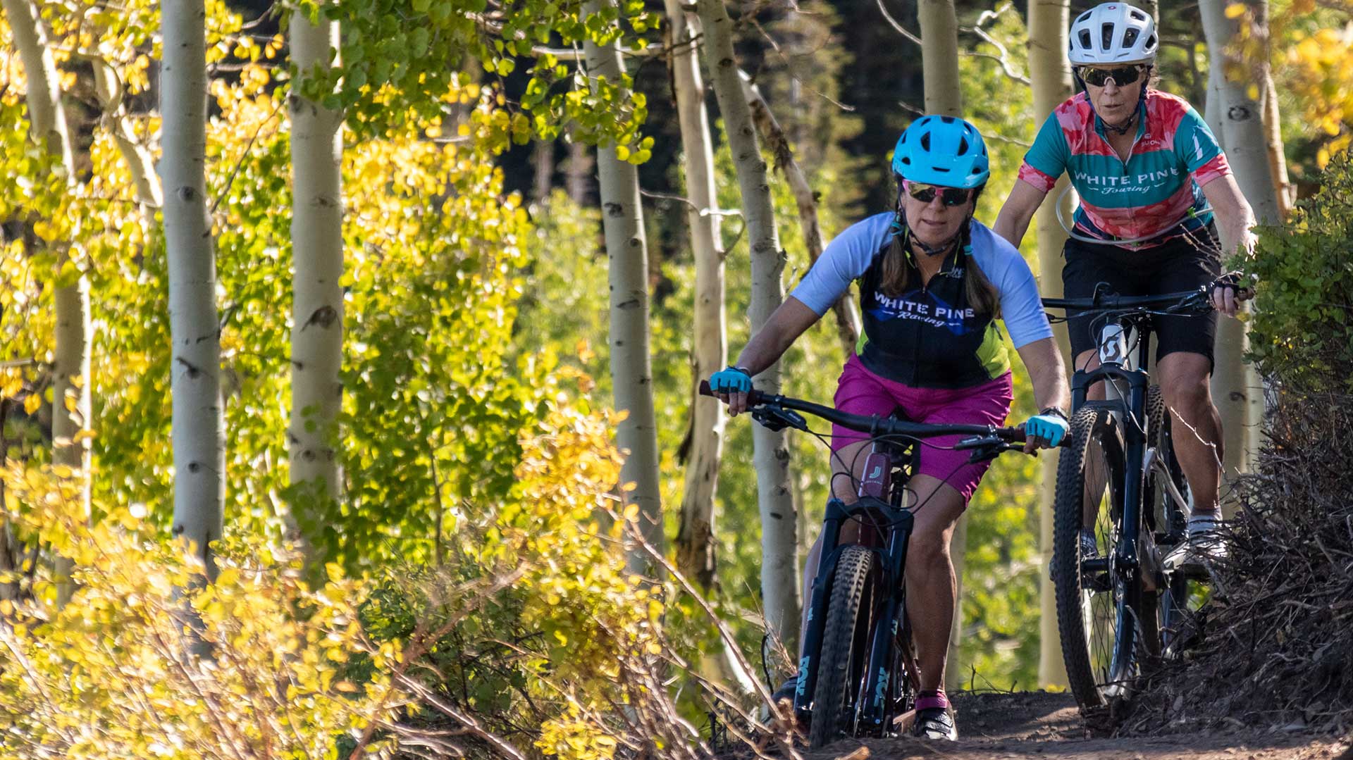 Two people riding bicycles on a trail with trees in the background