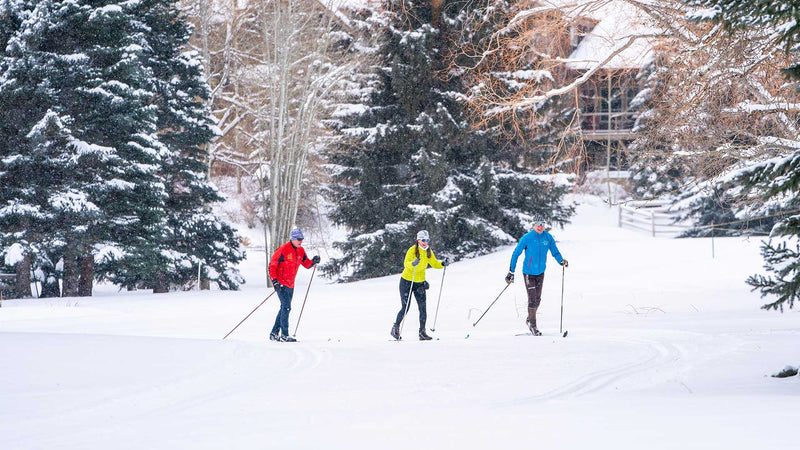 Three people cross-country skiing in a snowy forest with trees and a building in the background.