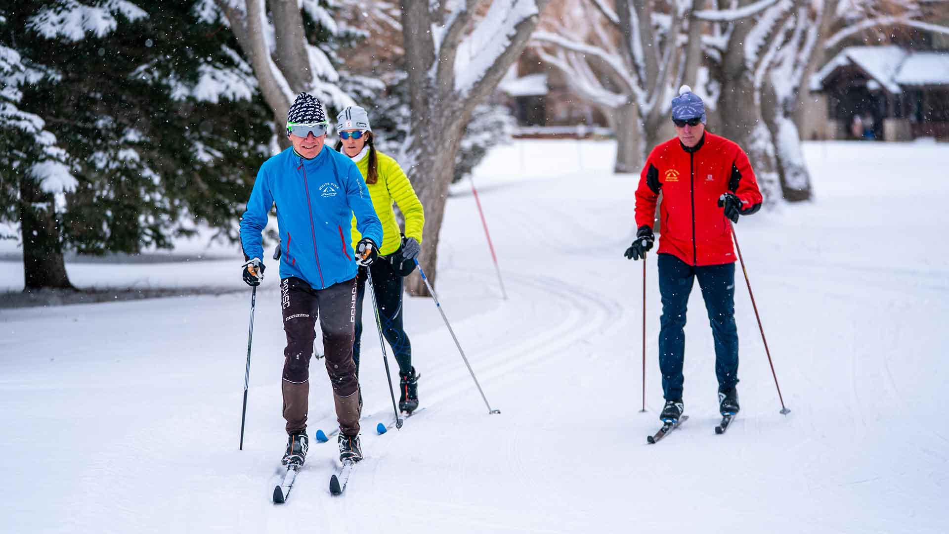 Three people cross-country skiing in a snowy landscape with trees and a building in the background.
