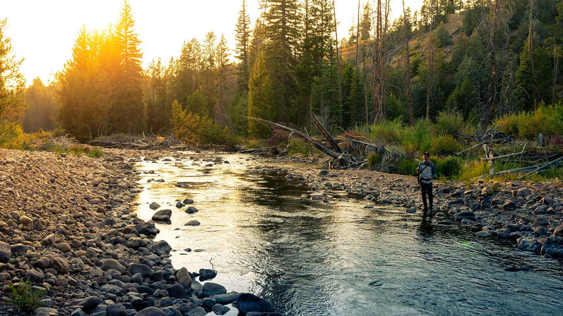 Person fishing in a stream surrounded by trees with a sunset in the background