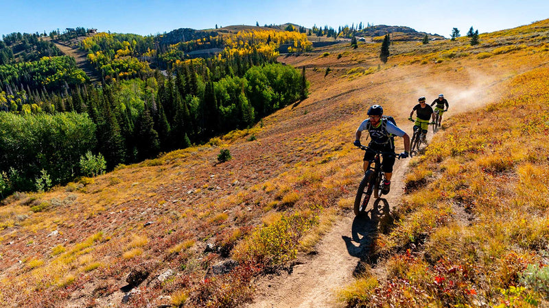 Three mountain bikers riding on a dirt trail through a scenic landscape with trees and open fields.