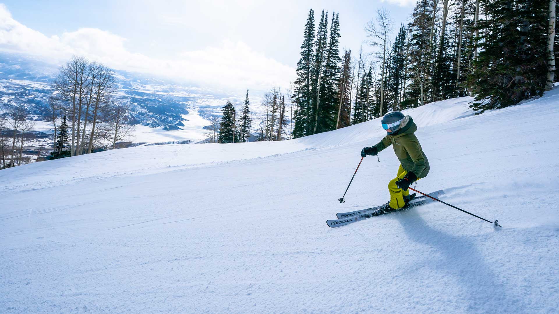 Person skiing down a snowy slope with trees and mountains in the background