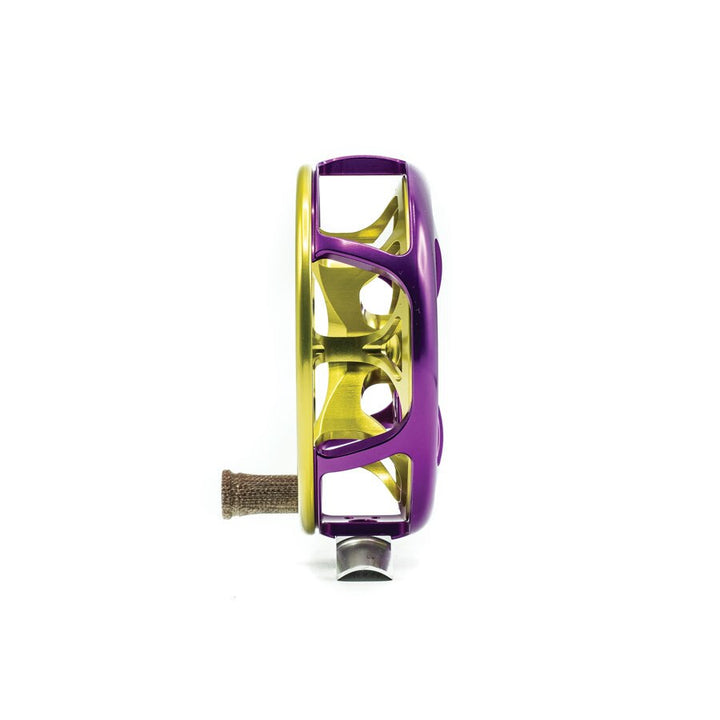 Ross Reels Colorado Reel in Mardi Gras