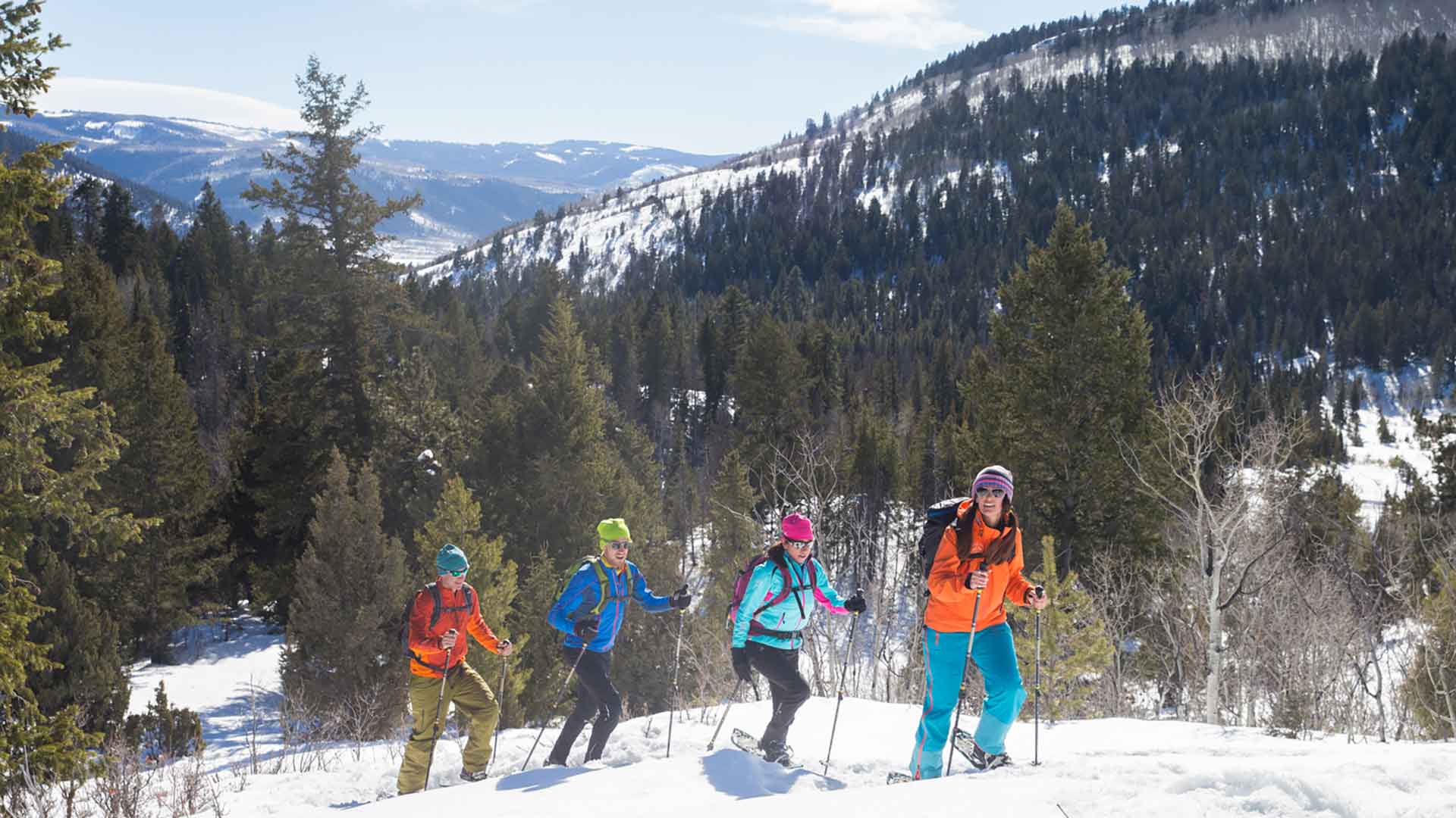 Four people cross-country skiing in a snowy forest with mountains in the background