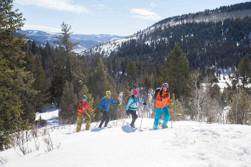 Four skiers on a snowy trail with trees and mountains in the background