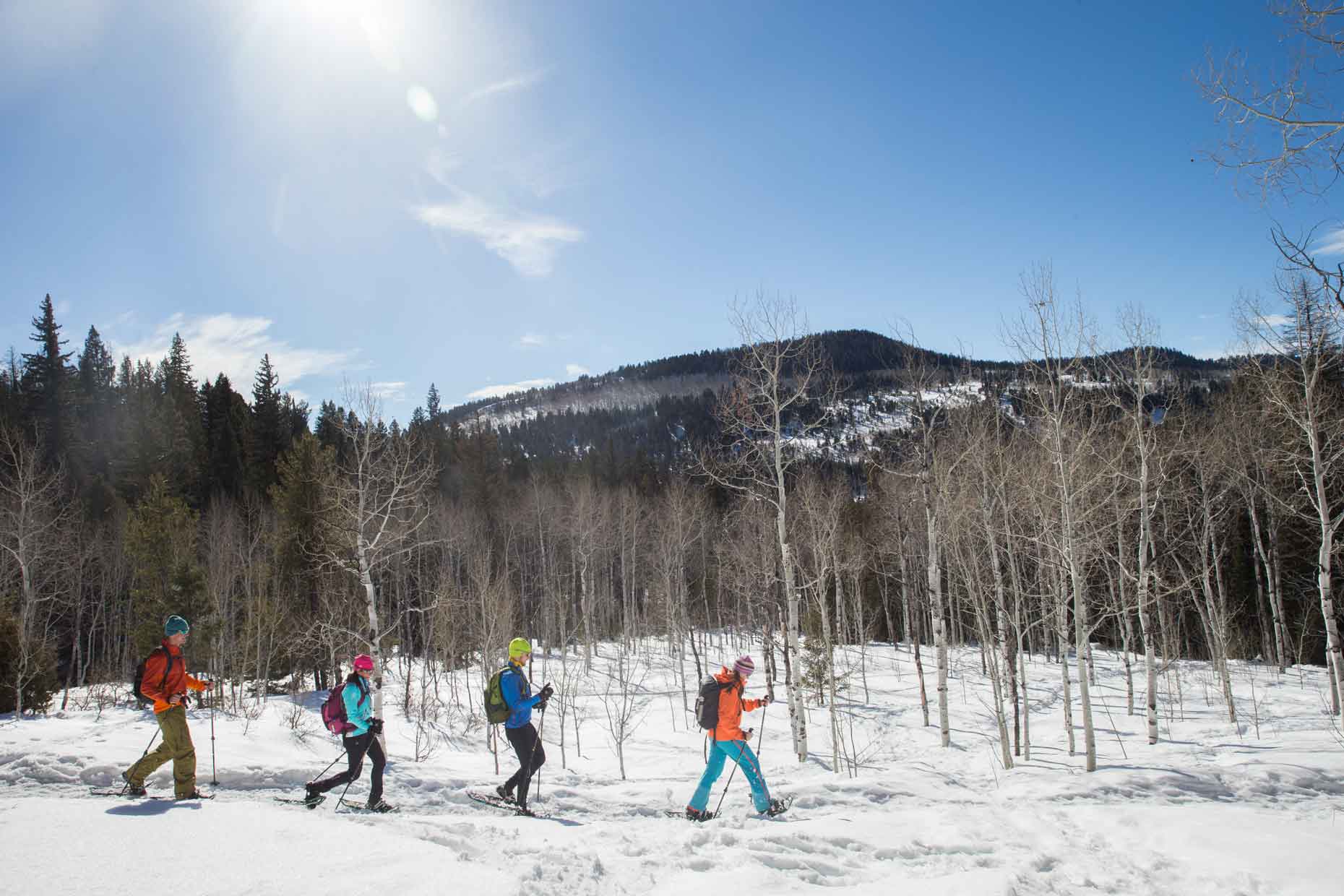 Four people cross-country skiing in a snowy forest with mountains in the background.