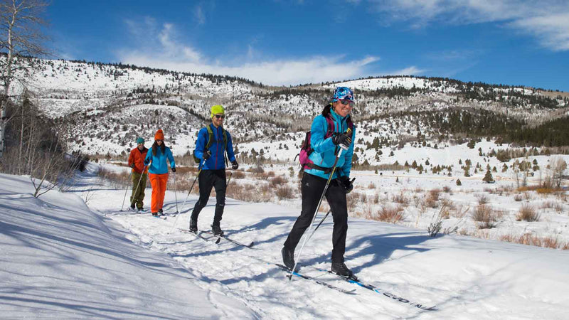 Group of people cross-country skiing in a snowy landscape with mountains in the background.