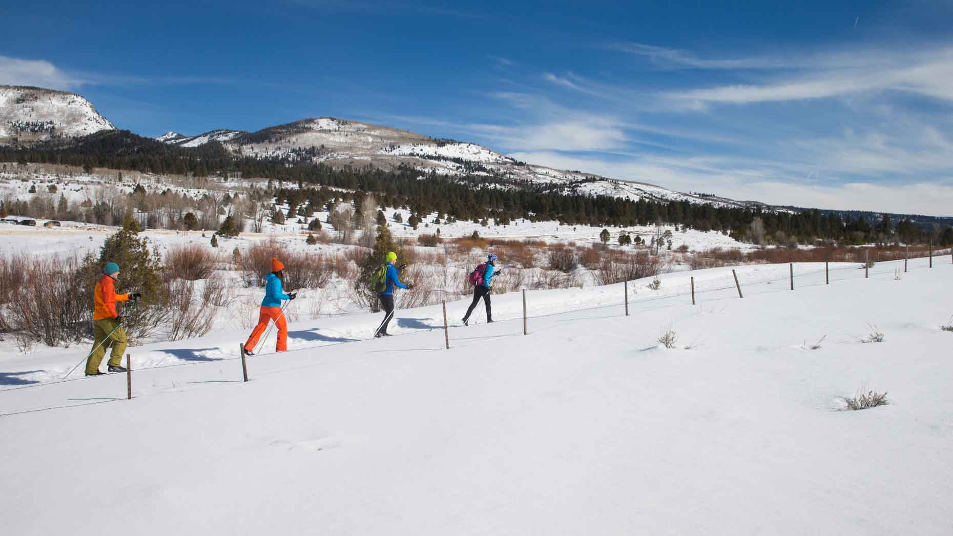 Four people cross-country skiing in a snowy landscape with mountains in the background.