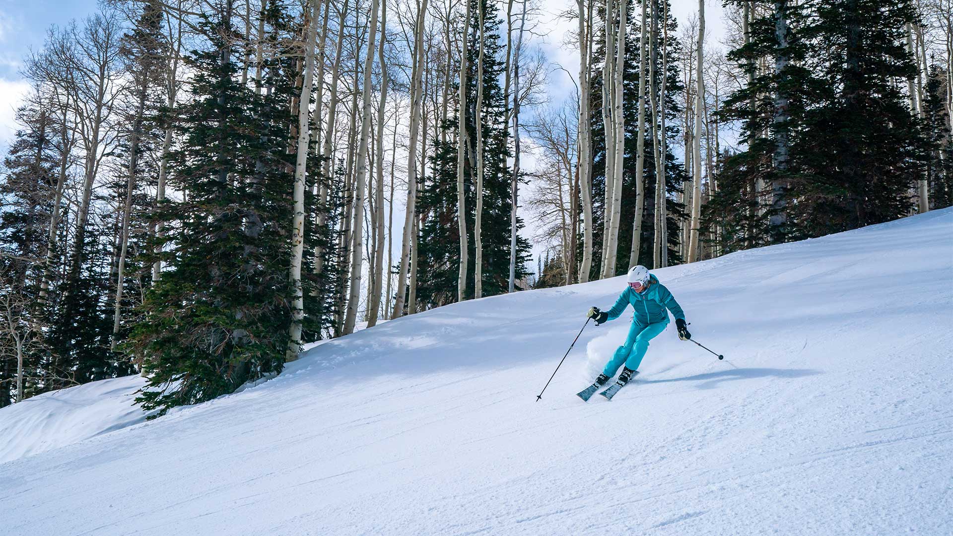 Person skiing down a snowy slope with trees in the background
