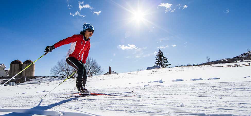 Person cross-country skiing on a snowy landscape with clear blue sky