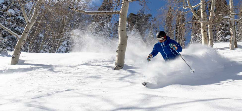 Person skiing in deep snow with trees in the background