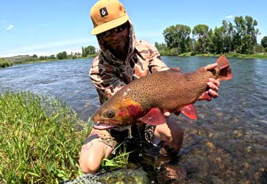 Person holding a large brown trout by a river
