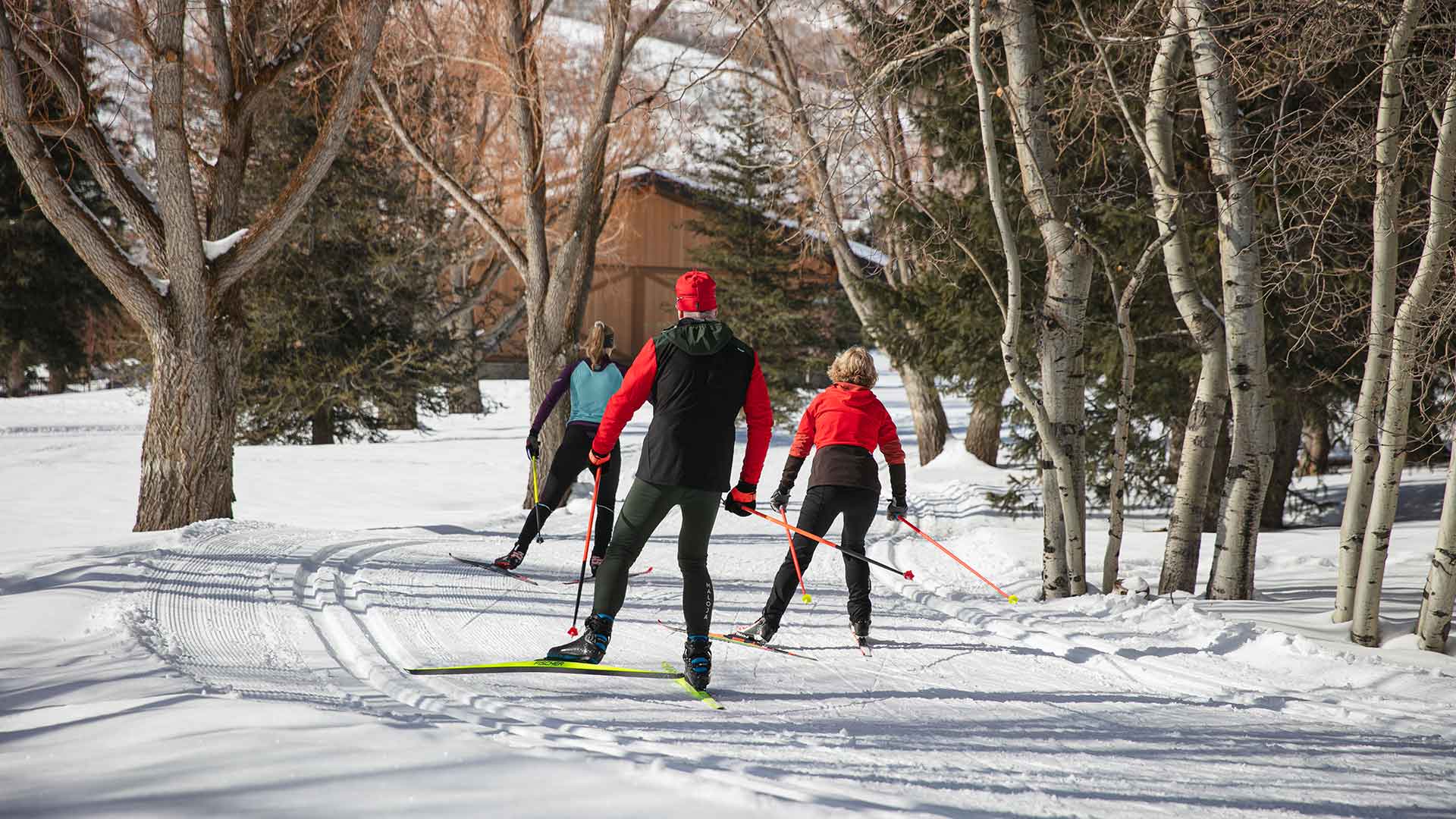 People cross-country skiing on a snow-covered trail with trees and a building in the background.