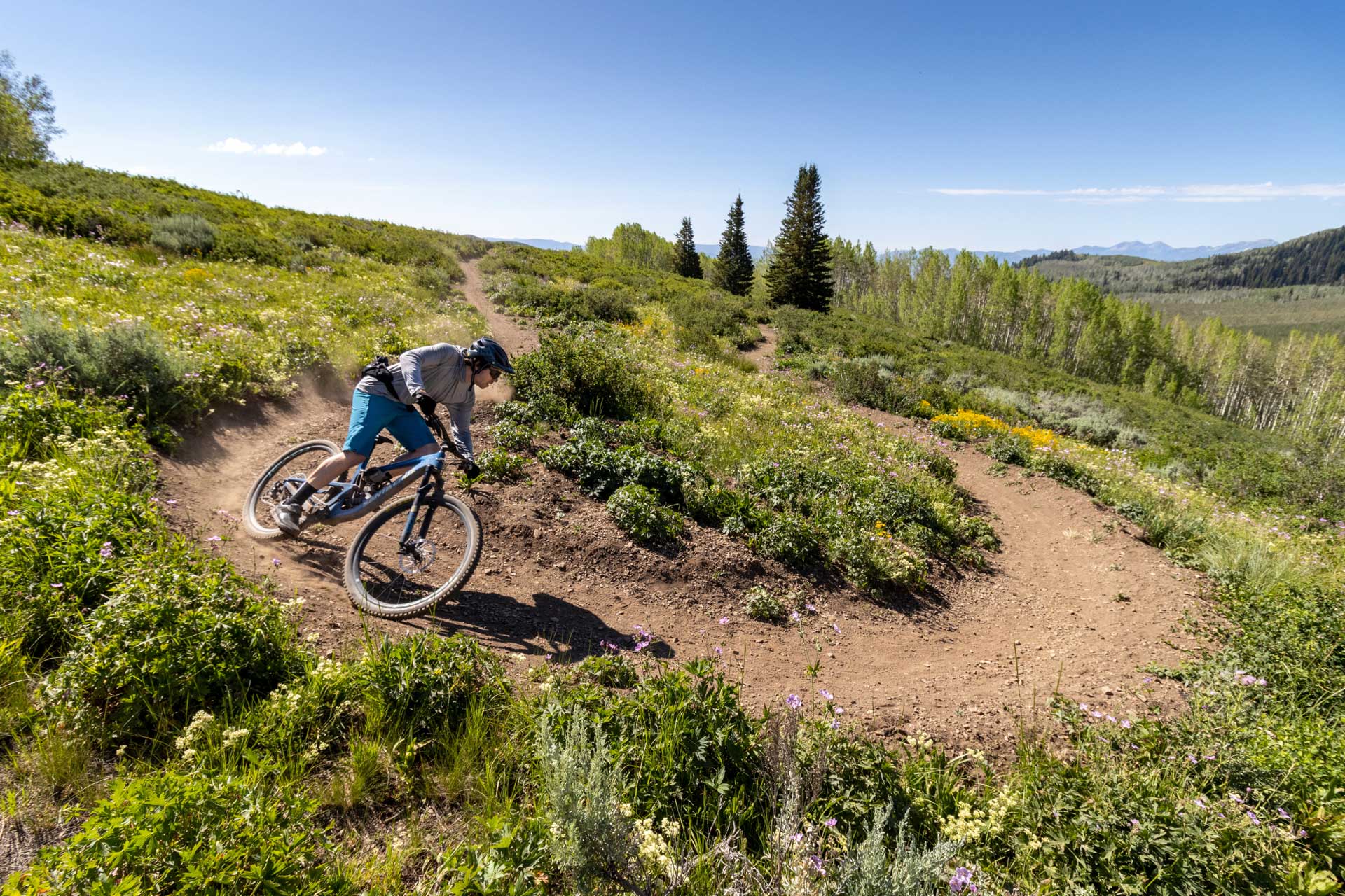 Person mountain biking on a trail with a scenic background of trees and open space.