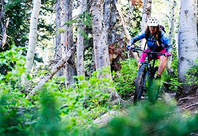 Person mountain biking through a forest with trees and greenery in the background