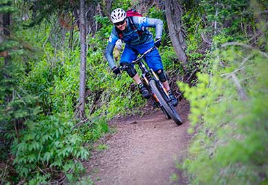 Person riding a mountain bike on a trail through a forest