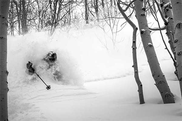 Jans Expert skiing through trees in deep snow at Deer Valley Resort, Park City, Utah.