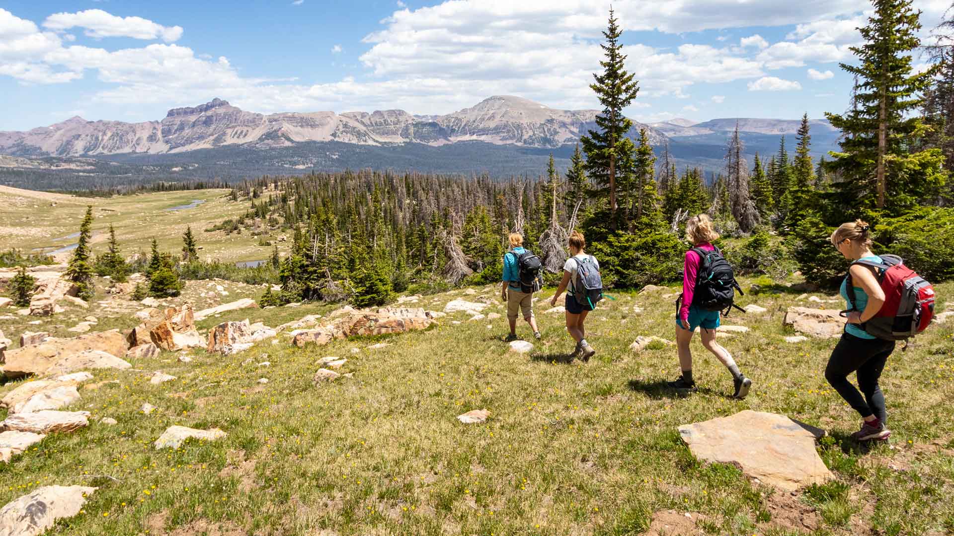 Four hikers on a grassy mountain top with scenic mountains in the background