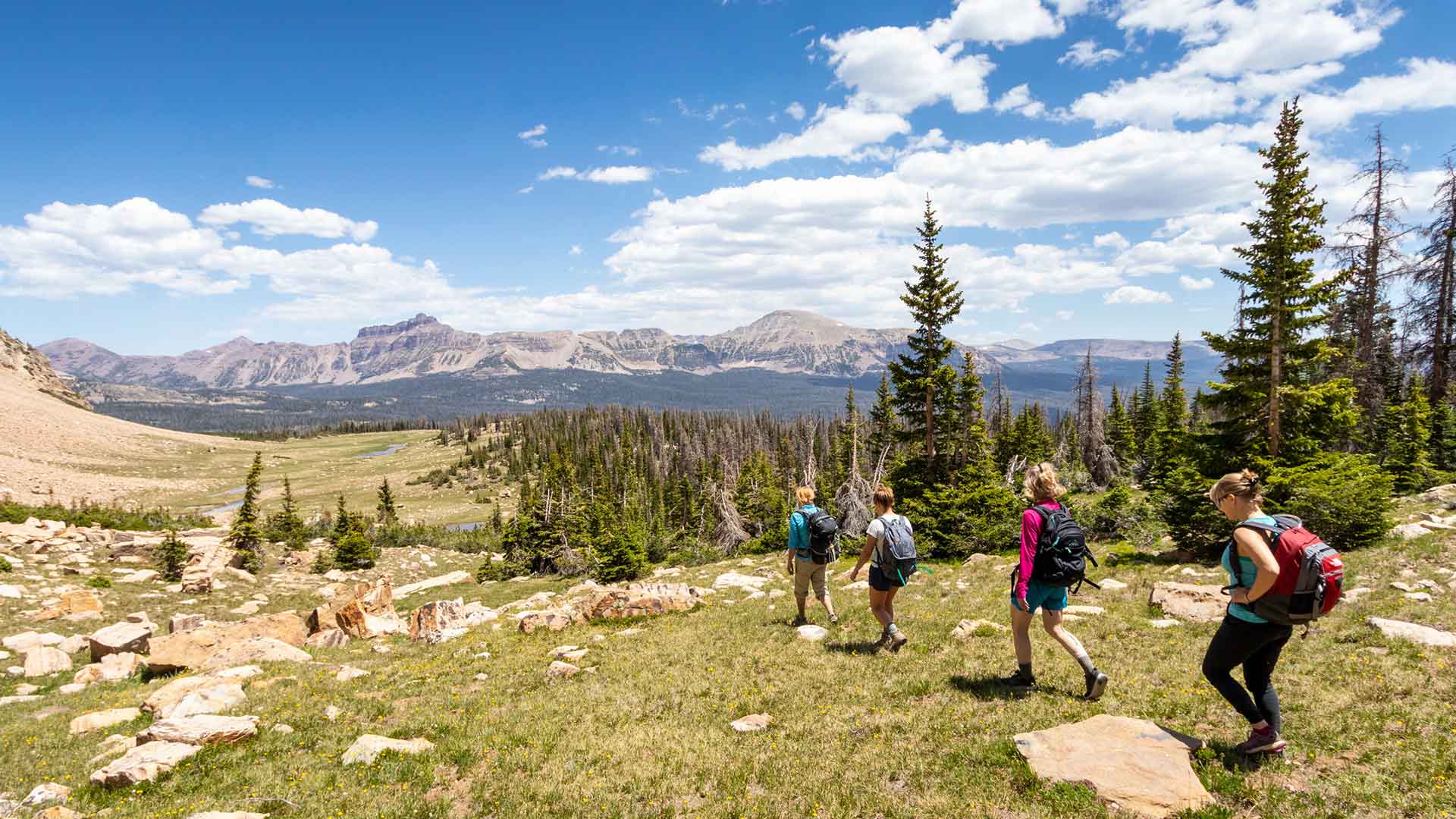 Four hikers with backpacks walking through a mountain landscape with trees and a clear sky.